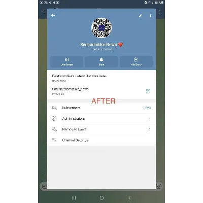 Telegram - Подписчики / Просмотры / Реакции / Старты бота - irongamers.ru