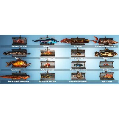 Вся рыба для витрины - 12 аксолотлей и 44 рыбы на витрину - irongamers.ru