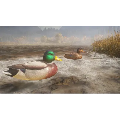 theHunter: Call of the Wild™ - Duck and Cover Pack DLC Steam key - irongamers.ru