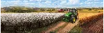Farming Simulator 19 (Steam) КЛЮЧ🔑 STEAM РФ+СНГ