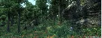 The Elder Scrolls IV: Oblivion® GotY STEAM•RU АВТО - irongamers.ru