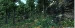 ✅ The Elder Scrolls IV: Oblivion Game of the Year Deluxe