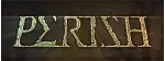 PERISH КЛЮЧ🔑 STEAM LATAM_RU_CN_IN_TR