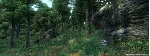 TES IV: Oblivion Game of the Year Deluxe |АВТО Steam - irongamers.ru