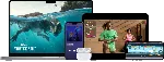 Ключ Apple (лицензия): TV+ Music Arcade iCloud+Fitness+