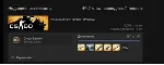 Steam с CS2, 100+ часов. для Faceit, с почтой - irongamers.ru