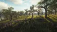 theHunter™: Call of the Wild - Parque Fernando XBOX 🔑 
