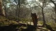 theHunter™: Call of the Wild - Parque Fernando XBOX 🔑 