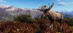 Way of the Hunter - Aurora Shores XBOX SERIES X|S Код🔑 