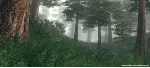 The Elder Scrolls IV Oblivion GOTY / DELUXE Steam Ключ - irongamers.ru