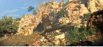 Sniper Elite 3 ULTIMATE EDITION EU XBOX One КЛЮЧ - irongamers.ru