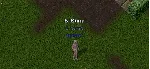 Ultima online - Олмер онлайн "Worldstone pack"