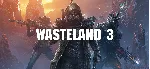 Wasteland 3 ключ Global + RU/CIS РФ Россия стим СНГ - irongamers.ru