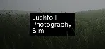 Lushfoil Photography Sim / Steam Ключ / РФ+СНГ | АВТОВЫДАЧА 24/7