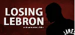 Losing LeBron [Region Free Steam Gift]