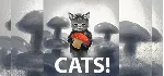 CATS! [Region Free Steam Gift]