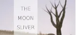 The Moon Sliver STEAM KEY REGION FREE GLOBAL ROW + 🎁 