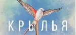 WINGSPAN (КРЫЛЬЯ) Steam Key REGION FREE