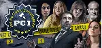 PCI Public Crime Investigation 💎 АВТОДОСТАВКА STEAM GLOBAL МГНОВЕННО ЛИЦЕНЗИЯ