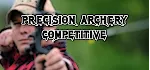 Precision Archery: Competitive / EyeOfPrecision АВТОДОСТАВКА STEAM GLOBAL МГНОВЕННО Л