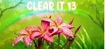 ClearIt 13 STEAM KEY REGION FREE GLOBAL ROW + ПОДАРОК - irongamers.ru