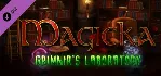 Magicka: Grimnir&acute;s Laboratory DLC STEAM KEY - irongamers.ru