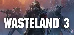 🔑 Wasteland 3. STEAM-ключ Россия (Global)