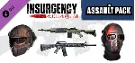 Insurgency: Sandstorm - Year 2 Pass · DLC Steam АВТО - irongamers.ru