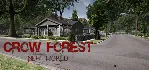 Crow Forest: New World STEAM KEY REGION FREE GLOBAL ROW