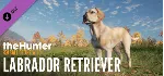 theHunter: Call of the Wild™ - Labrador Retriever DLC - irongamers.ru