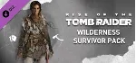 РОССИЯ+МИР Tomb Raider Definitive Survivor Trilogy (21 в 1) STEAM КЛЮЧ + Бонус - irongamers.ru