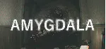 Amygdala 💎 АВТОДОСТАВКА STEAM GLOBAL МГНОВЕННО ЛИЦЕНЗИЯ