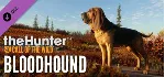 theHunter Call of the Wild Greenhorn Bundle⭐Steam\Key⭐ - irongamers.ru