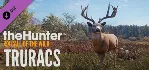 theHunter Call of the Wild Greenhorn Bundle⭐Steam\Key⭐ - irongamers.ru
