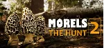 Morels: The Hunt 2 💎 АВТОДОСТАВКА STEAM GLOBAL МГНОВЕННО ЛИЦЕНЗИЯ