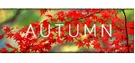 Autumn [STEAM KEY/REGION FREE] 🔥 