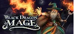 Black Dragon Mage 💎 АВТОДОСТАВКА STEAM GLOBAL МГНОВЕННО ЛИЦЕНЗИЯ