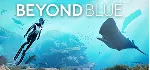 ✅ HUMANKIND + Beyond Blue ✅ EPIC GAMES АККАУНТ ПОЧТА 🎁 