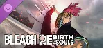 BLEACH Rebirth of Souls - Rebirth of Souls Costume Set - irongamers.ru