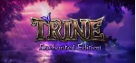 Trine Enchanted Edition (STEAM КЛЮЧ) РОССИЯ+КЗ+СНГ - irongamers.ru