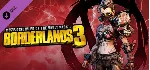 ⚫ Borderlands 3 Season Pass Bundle (1 + 2) Steam Ключ