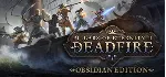 Pillars of Eternity Collection (I + II) Steam Ключ - irongamers.ru