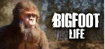 Bigfoot Life АВТОДОСТАВКА STEAM GLOBAL МГНОВЕННО ЛИЦЕНЗИЯ