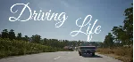 Driving Life АВТОДОСТАВКА STEAM GLOBAL МГНОВЕННО ЛИЦЕНЗИЯ