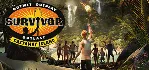 Survivor - Castaway Island * STEAM RU ⚡ АВТО 💳 0%