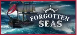 Forgotten Seas * STEAM RU ⚡ АВТО 💳 0%