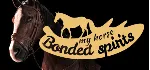 My Horse: Bonded Spirits * STEAM RU АВТО 0% - irongamers.ru