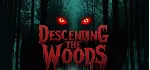 Descending The Woods * STEAM RU ⚡ АВТО 💳 0%