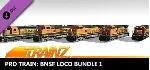 Trainz 2019 DLC - Pro Train: BNSF Loco Bundle 1 - irongamers.ru