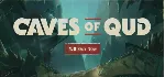 Caves of Qud СТИМ Steam Gift - irongamers.ru
